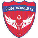 Niğde Anadolu FK